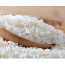 arroz redondo da grão curta de Vietnam / arroz japonica